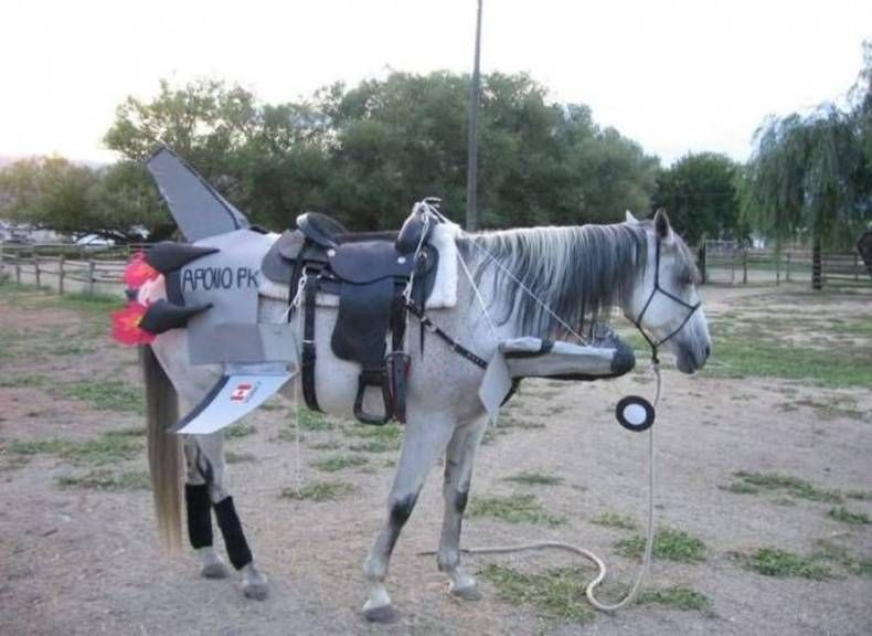 Gewoon een verzameling hilarische foto's #1382