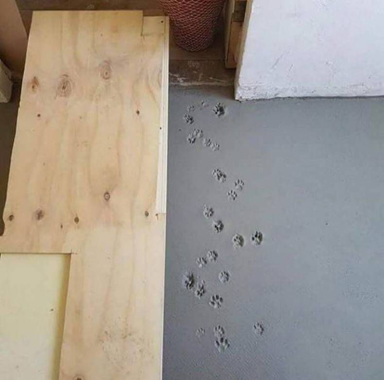 Gewoon een verzameling hilarische foto's #1447