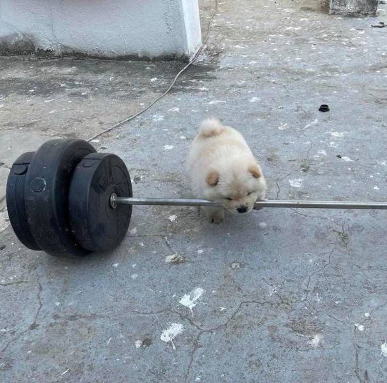 Gewoon een verzameling hilarische foto's #1432