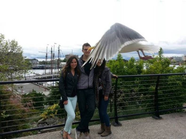 Gewoon een verzameling hilarische foto's #1469