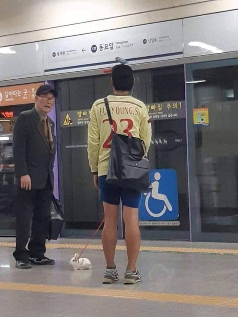 Gewoon een verzameling hilarische foto's #1409