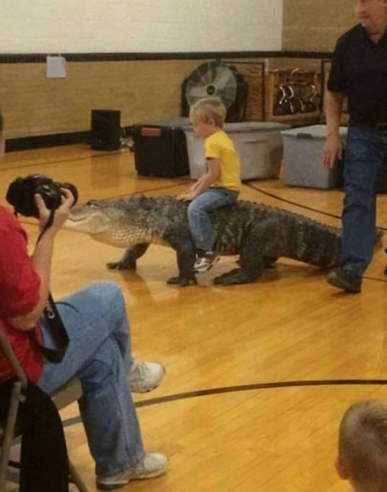 Gewoon een verzameling hilarische foto's #1390