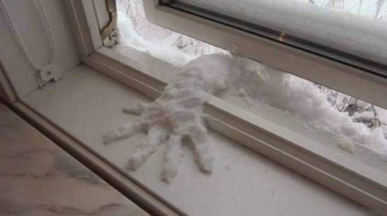 Gewoon een verzameling hilarische foto's #1389