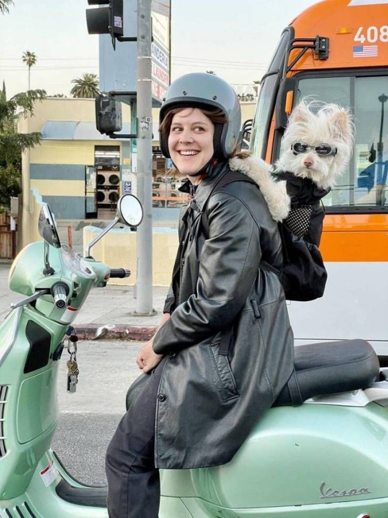 Gewoon een verzameling hilarische foto's #1449