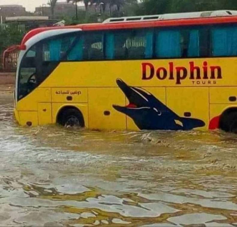 Gewoon een verzameling hilarische foto's #1390