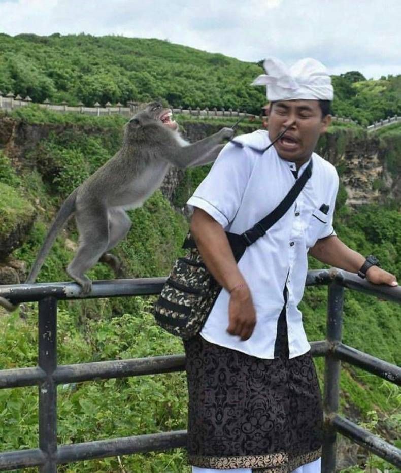 Gewoon een verzameling hilarische foto's #1449