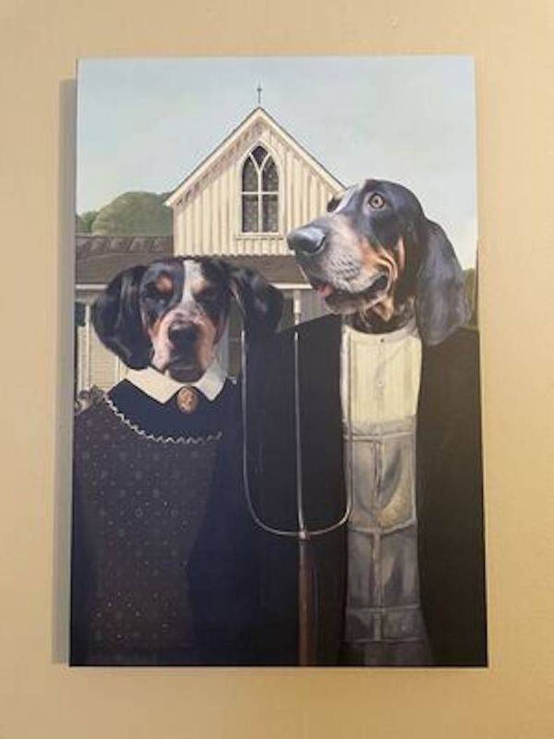 Gewoon een verzameling hilarische foto's #1383