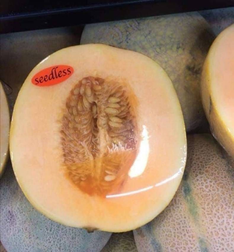 Gewoon een verzameling hilarische foto's #1473