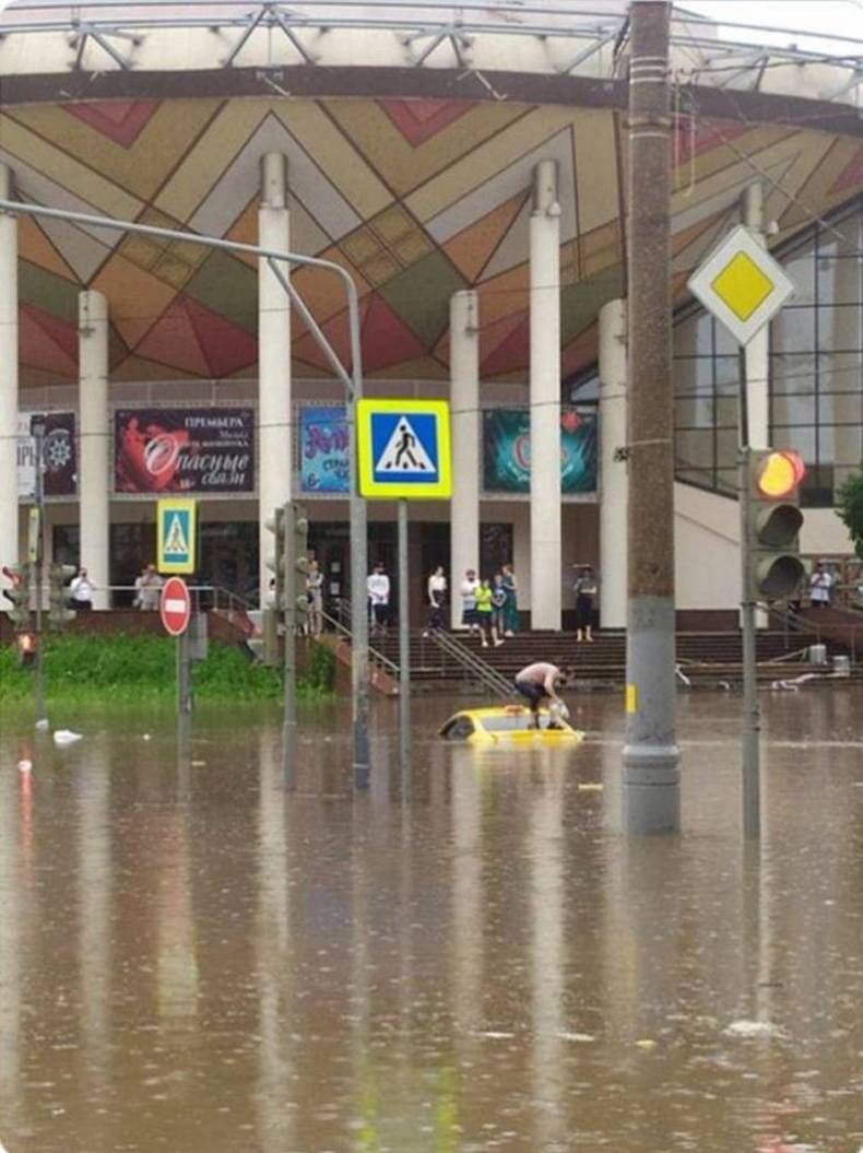 Gewoon een verzameling hilarische foto's #1462