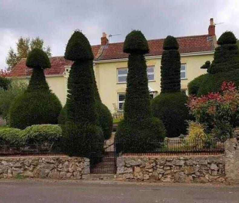 Gewoon een verzameling hilarische foto's #1458