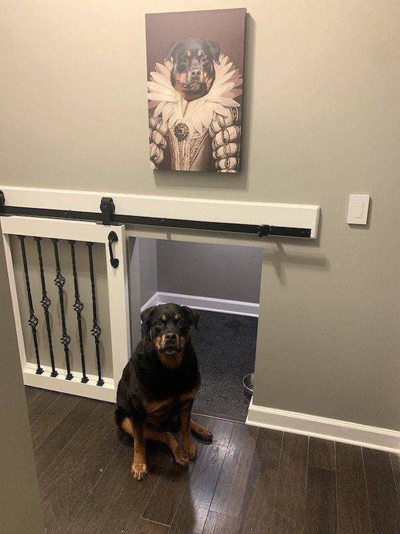 Gewoon een verzameling hilarische foto's #1445