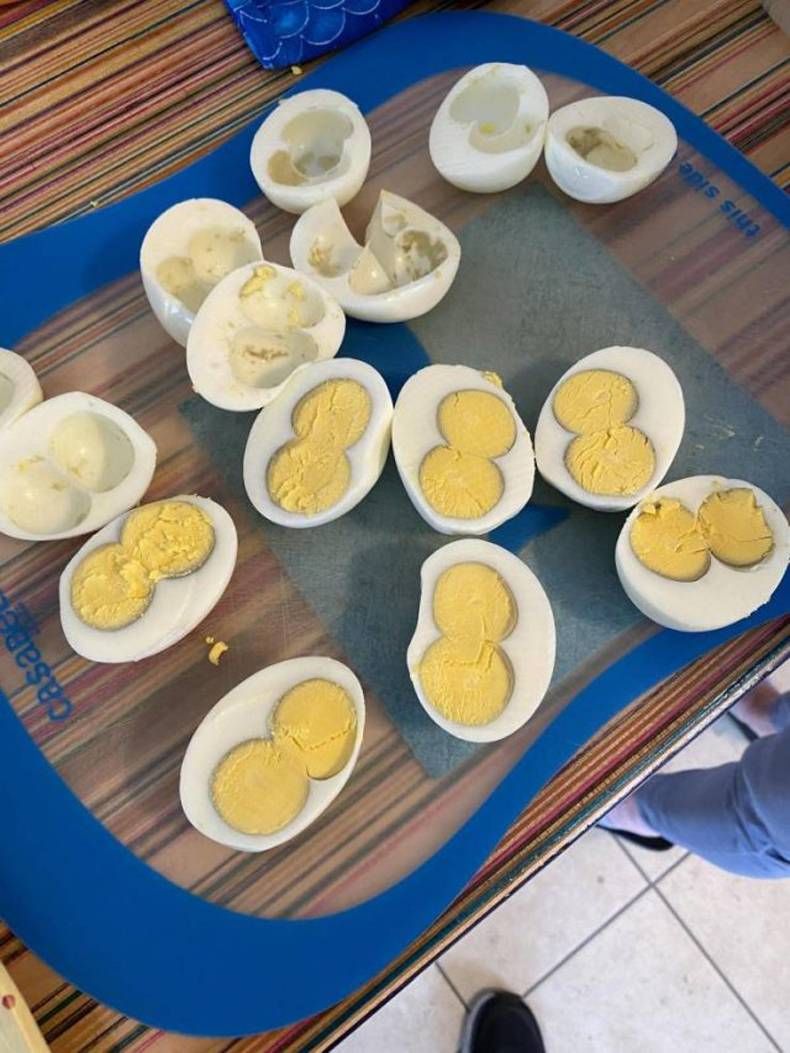 Gewoon een verzameling hilarische foto's #1432