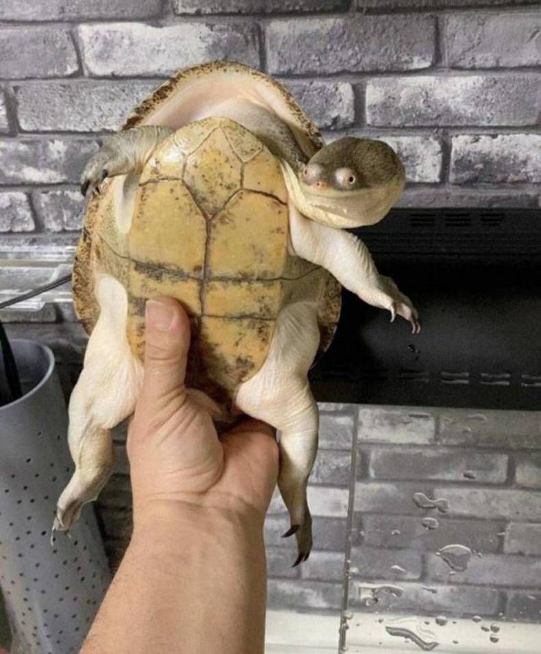 Gewoon een verzameling hilarische foto's #1399
