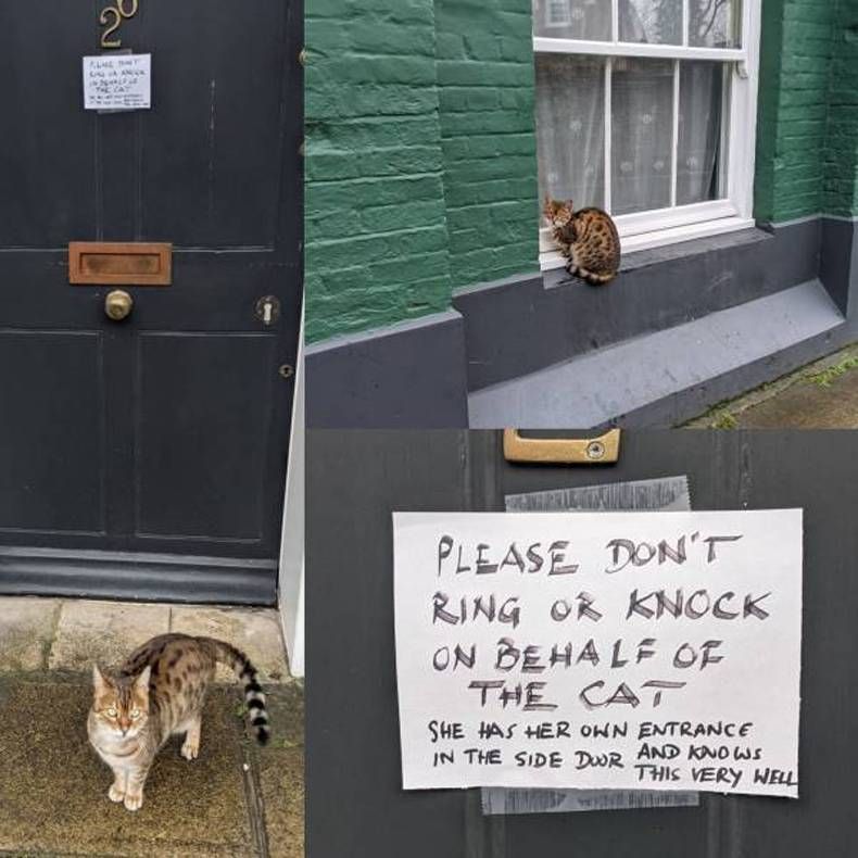 Gewoon een verzameling hilarische foto's #1390