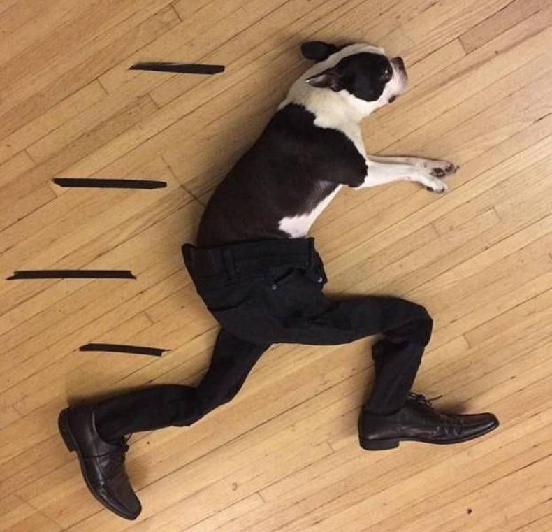 Gewoon een verzameling hilarische foto's #1383