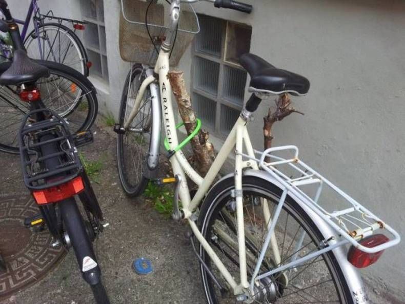 Gewoon een verzameling hilarische foto's #1469