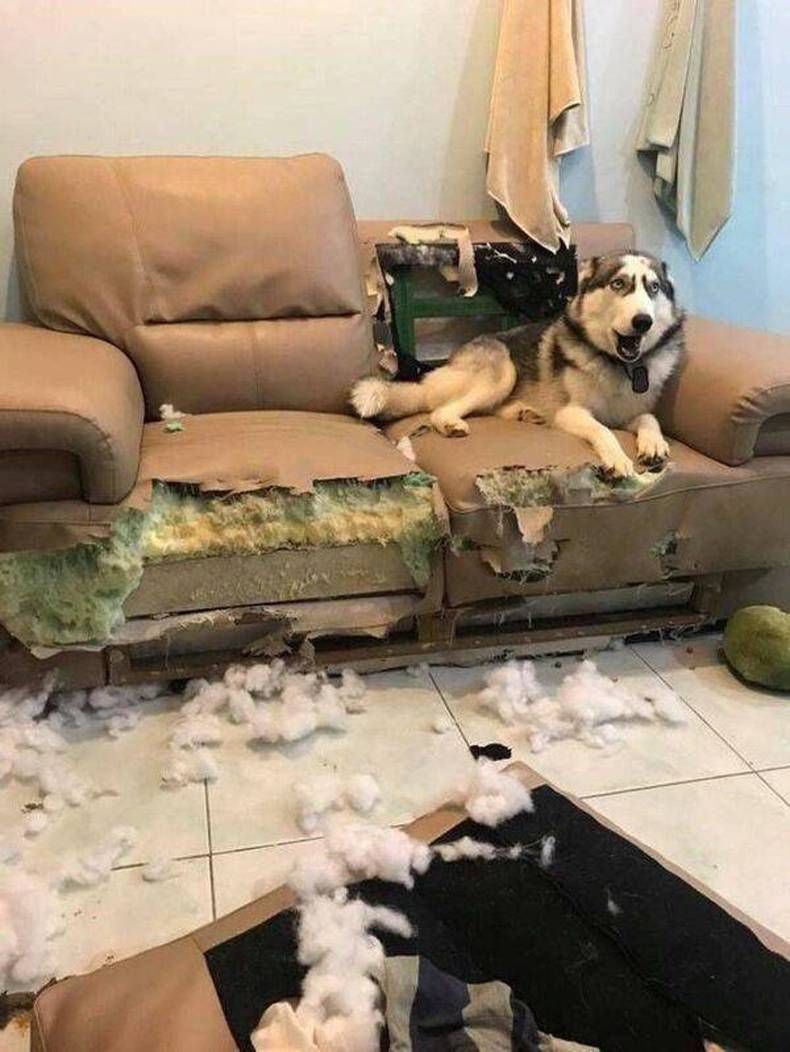 Gewoon een verzameling hilarische foto's #1390