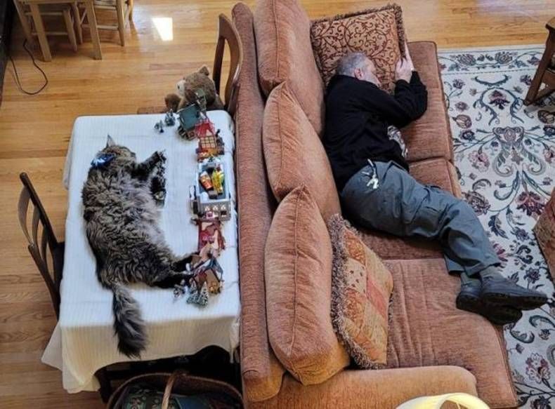 Gewoon een verzameling hilarische foto's #1383