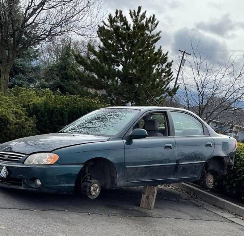 Gewoon een verzameling hilarische foto's #1420