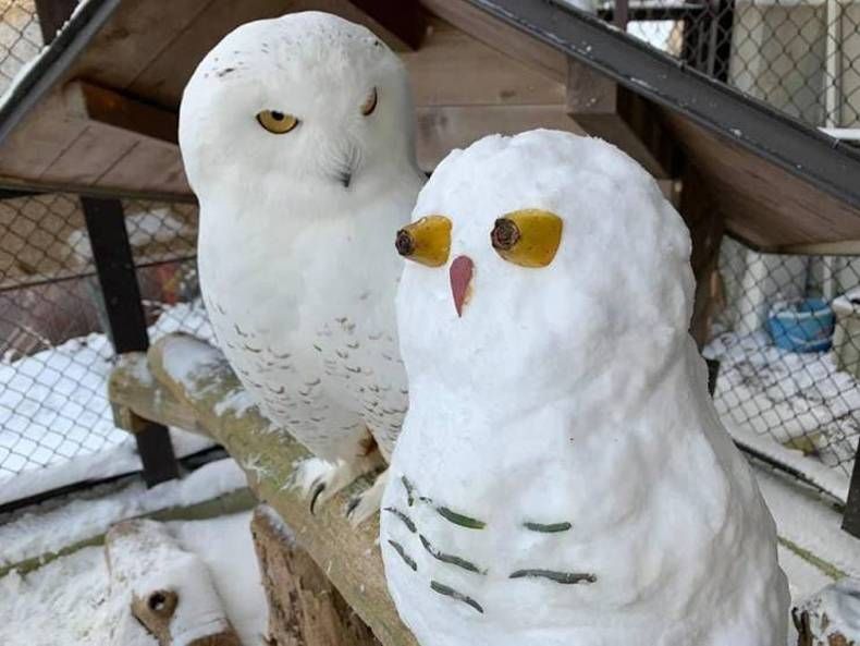 Gewoon een verzameling hilarische foto's #1389