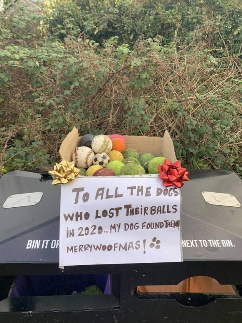 Gewoon een verzameling hilarische foto's #1383