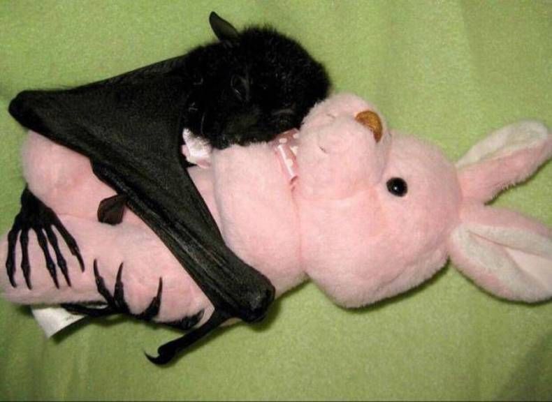 Gewoon een verzameling hilarische foto's #1382