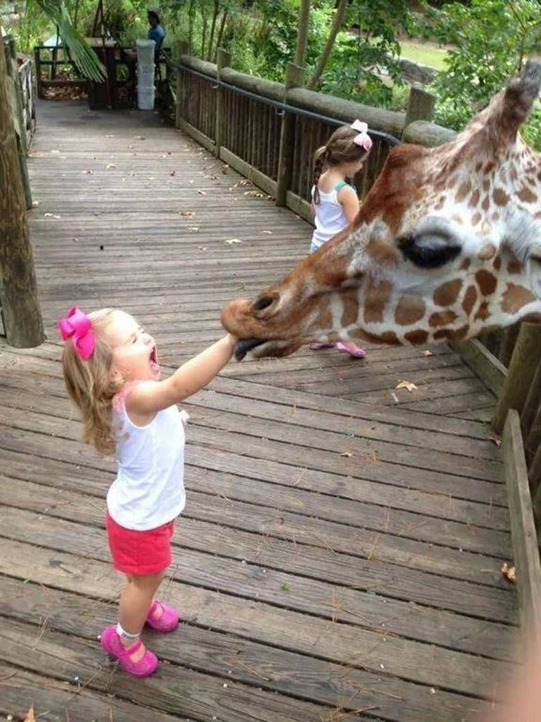Gewoon een verzameling hilarische foto's #1473