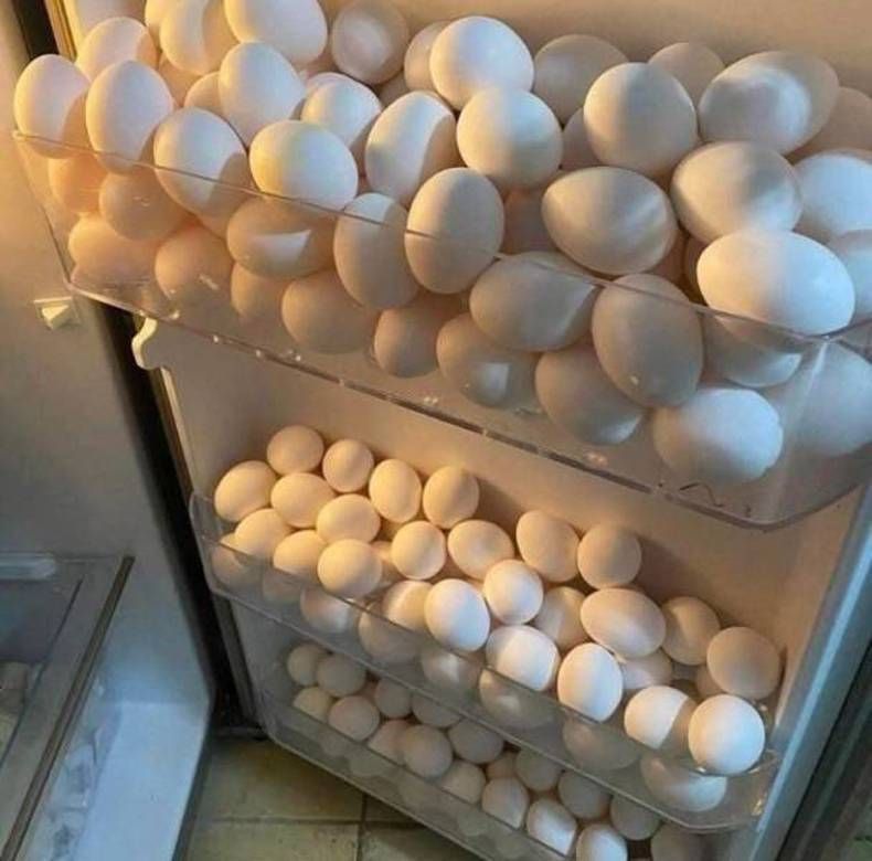 Gewoon een verzameling hilarische foto's #1461