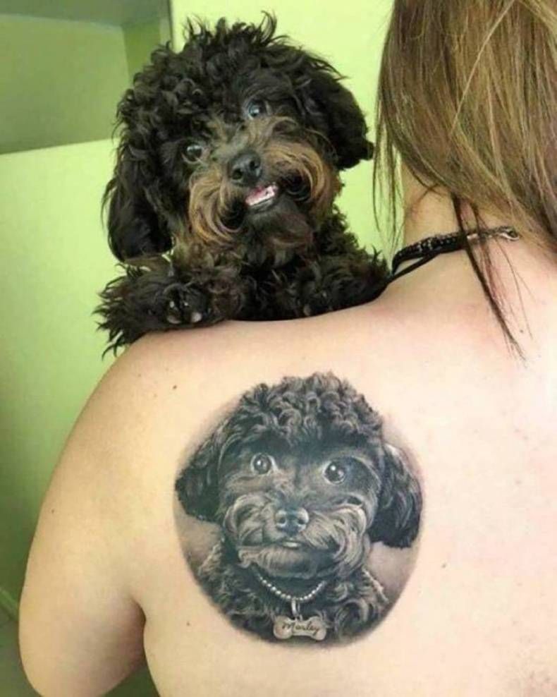 Gewoon een verzameling hilarische foto's #1438