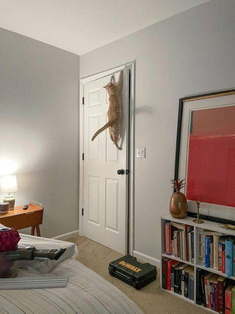 Gewoon een verzameling hilarische foto's #1421