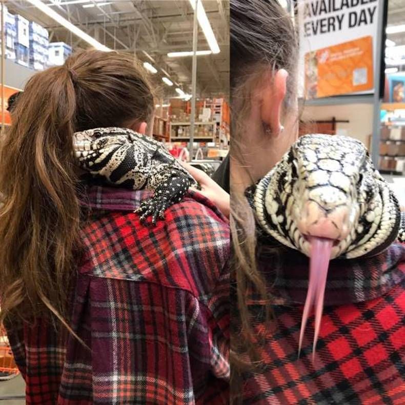 Gewoon een verzameling hilarische foto's #1449