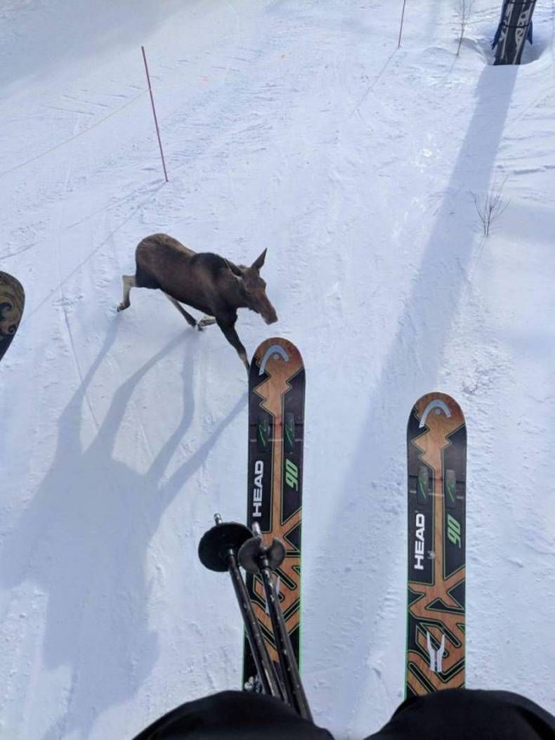 Gewoon een verzameling hilarische foto's #1390