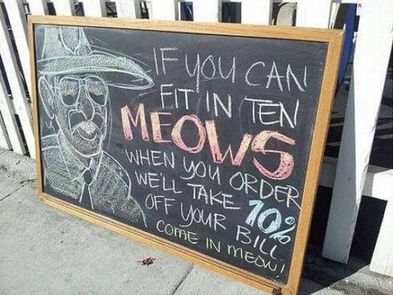 Gewoon een verzameling hilarische foto's #1477