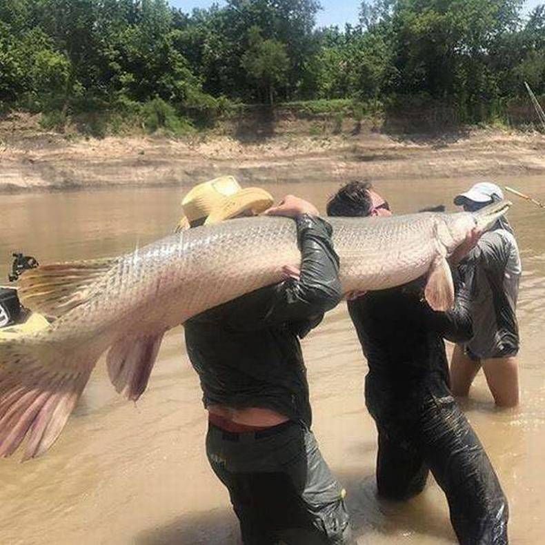 Gewoon een verzameling hilarische foto's #1469