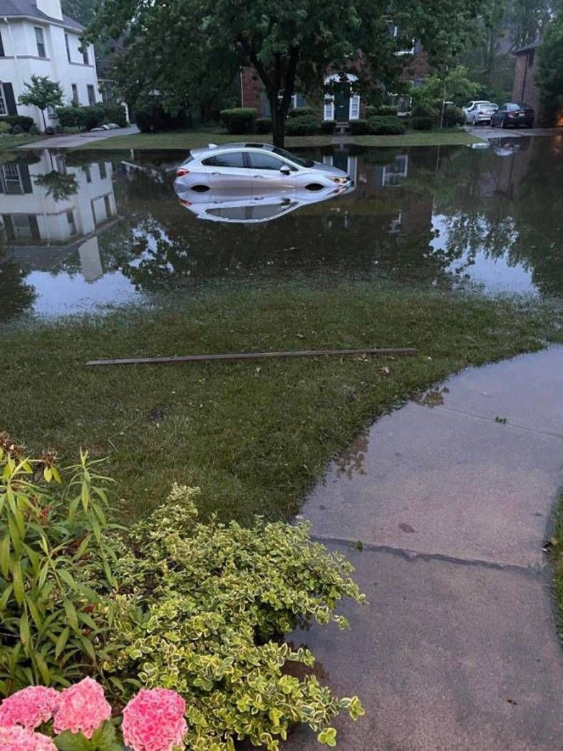 Gewoon een verzameling hilarische foto's #1462