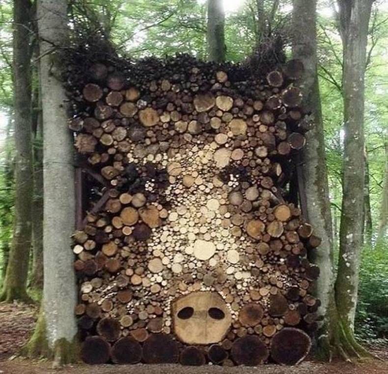 Gewoon een verzameling hilarische foto's #1456