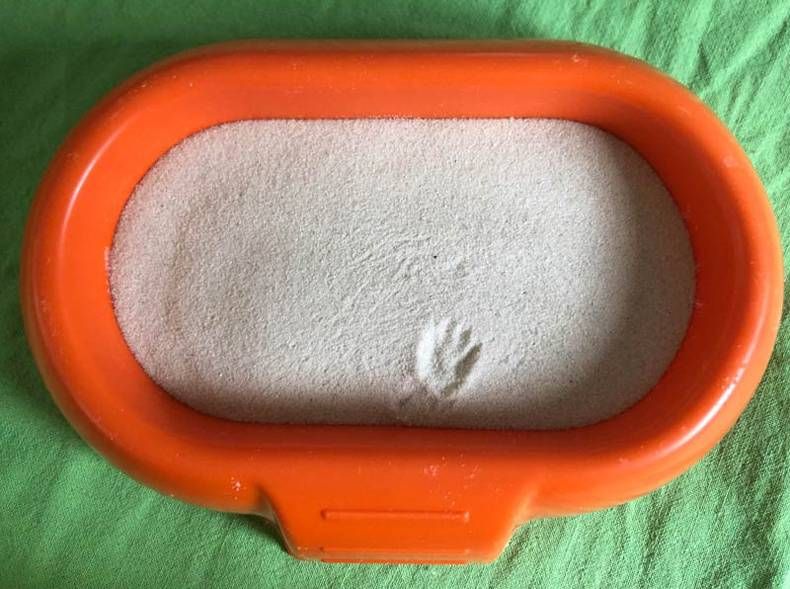 Gewoon een verzameling hilarische foto's #1445