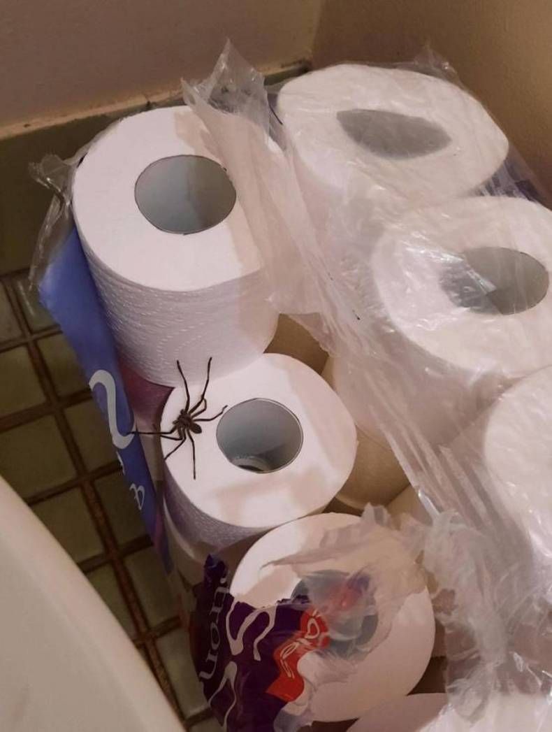 Gewoon een verzameling hilarische foto's #1436