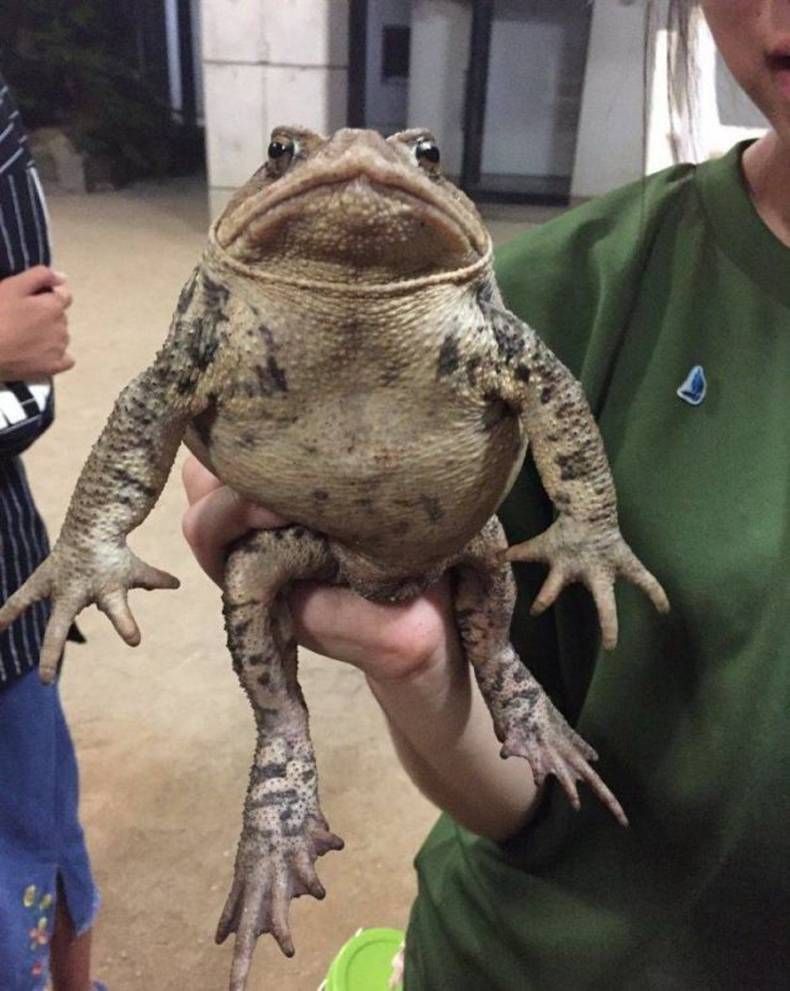 Gewoon een verzameling hilarische foto's #1432