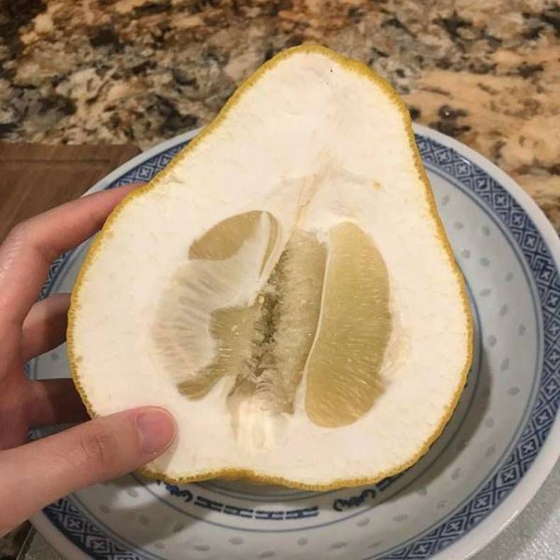Gewoon een verzameling hilarische foto's #1393