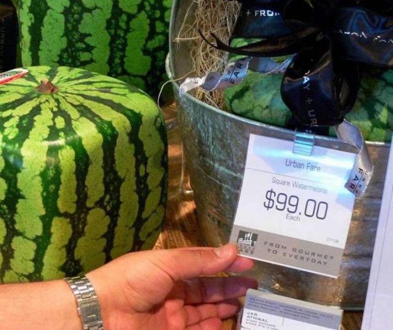 Gewoon een verzameling hilarische foto's #1469