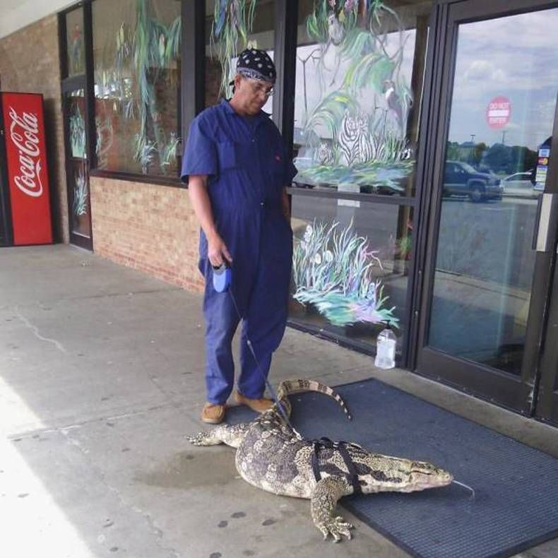 Gewoon een verzameling hilarische foto's #1468