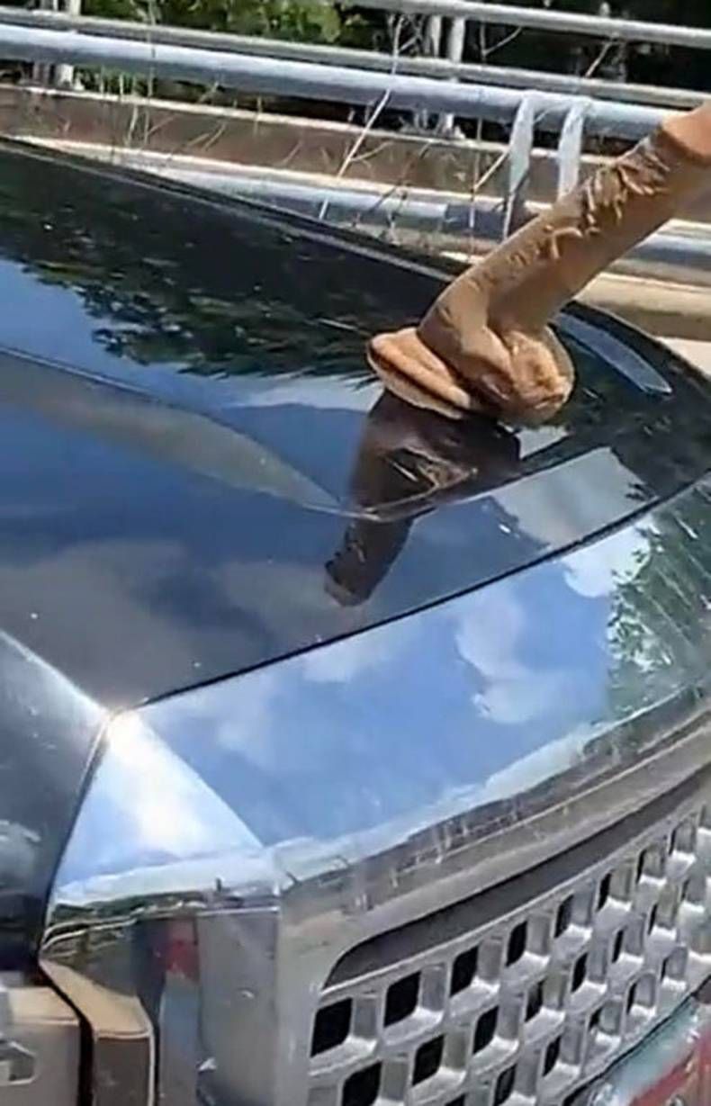 Gewoon een verzameling hilarische foto's #1462