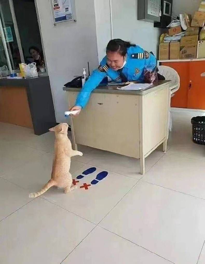 Gewoon een verzameling hilarische foto's #1432