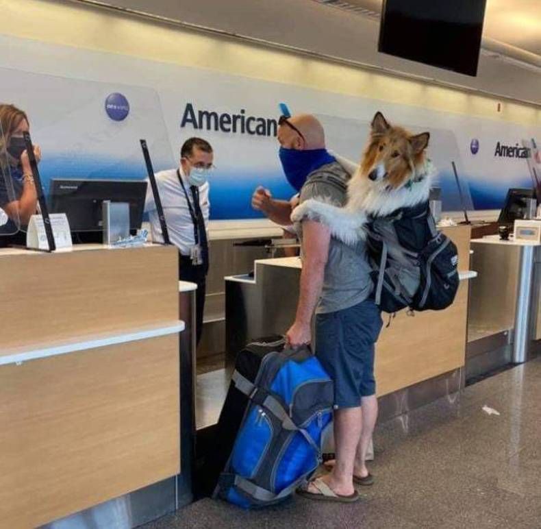 Gewoon een verzameling hilarische foto's #1469