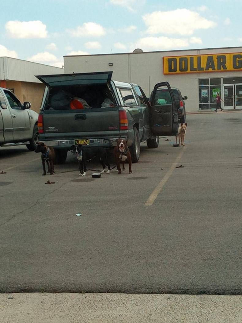 Gewoon een verzameling hilarische foto's #1449