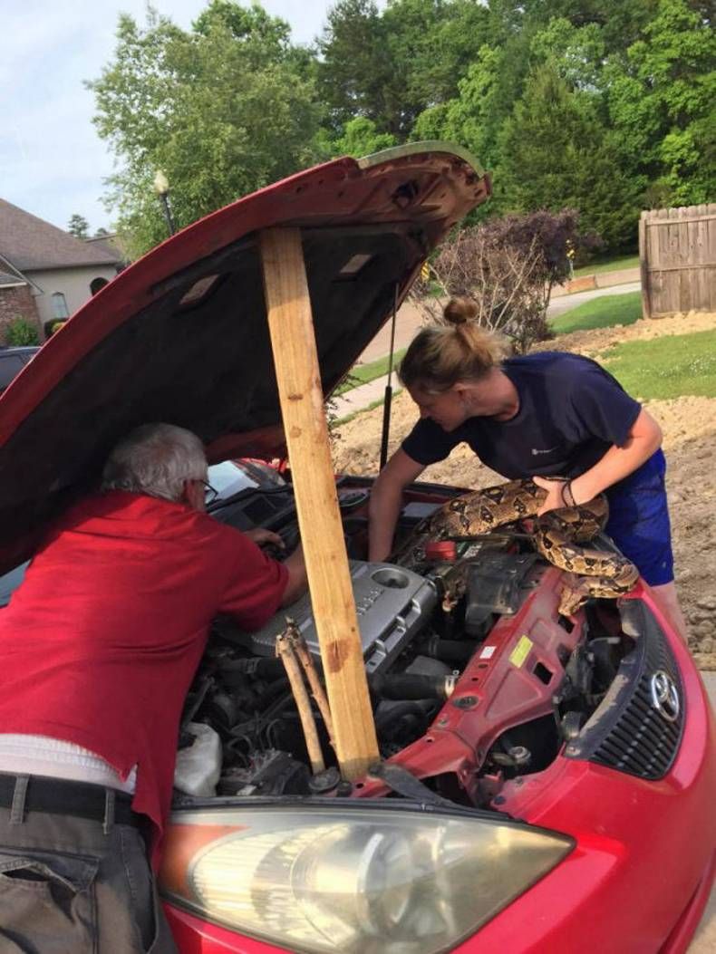 Gewoon een verzameling hilarische foto's #1436