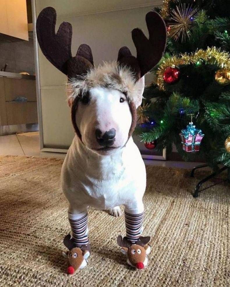 Gewoon een verzameling hilarische foto's #1382