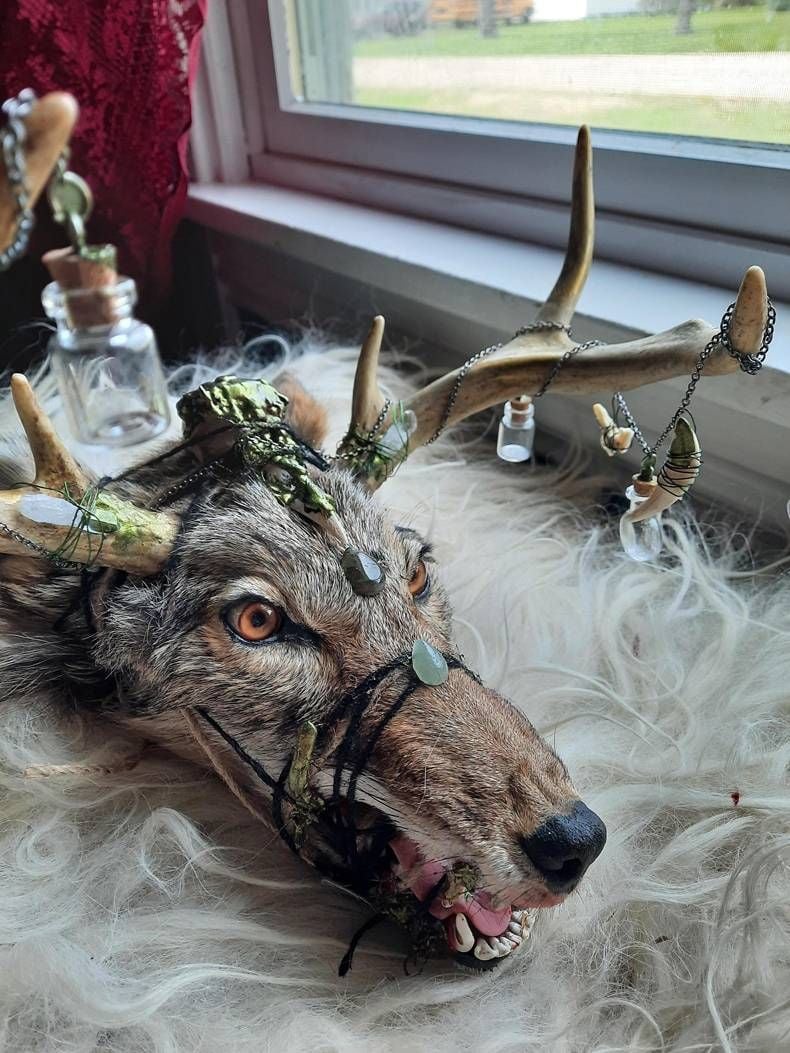 Gewoon een verzameling hilarische foto's #1482