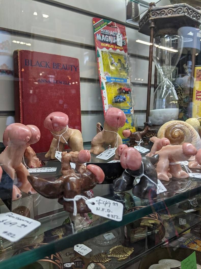 Gewoon een verzameling hilarische foto's #1475